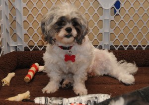 Flower with her newspaper