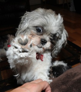 Flower gives Mom a high five 