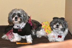 Yes, we know we're not supposed to get our clothes dirty. We'll just sit here.