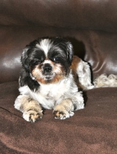 How can I be Mom's companion, if she keeps getting off the couch?