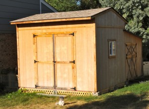 Shih Tzu in front of a shed.