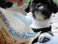 shih tzu with a Milo's Kitchen bag.