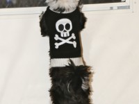 a shih tzu at the door wearing skull sweater