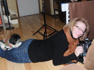 a shih tzu sitting on someone's legs. 