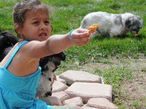 Cea holding out treat as Nigel Shih Tuz watches.