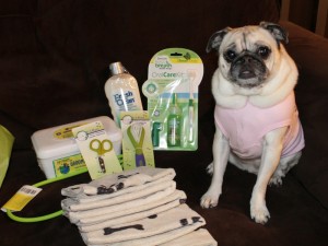 Penny with her gift bag goodies, courtesy Royal Canin.