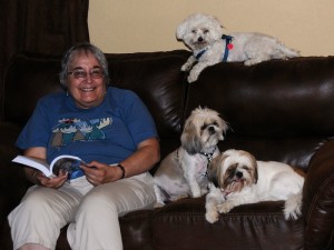 Owner, 2 shih tzus and maltese