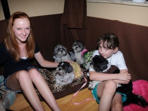 Cassidy and Allison visit Dottie, Candy, and Dottie at Shih Tzu Central.