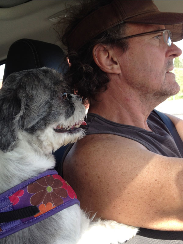 Flower watches to make sure Dad doesn&#039;t miss a turn on the way to the park.