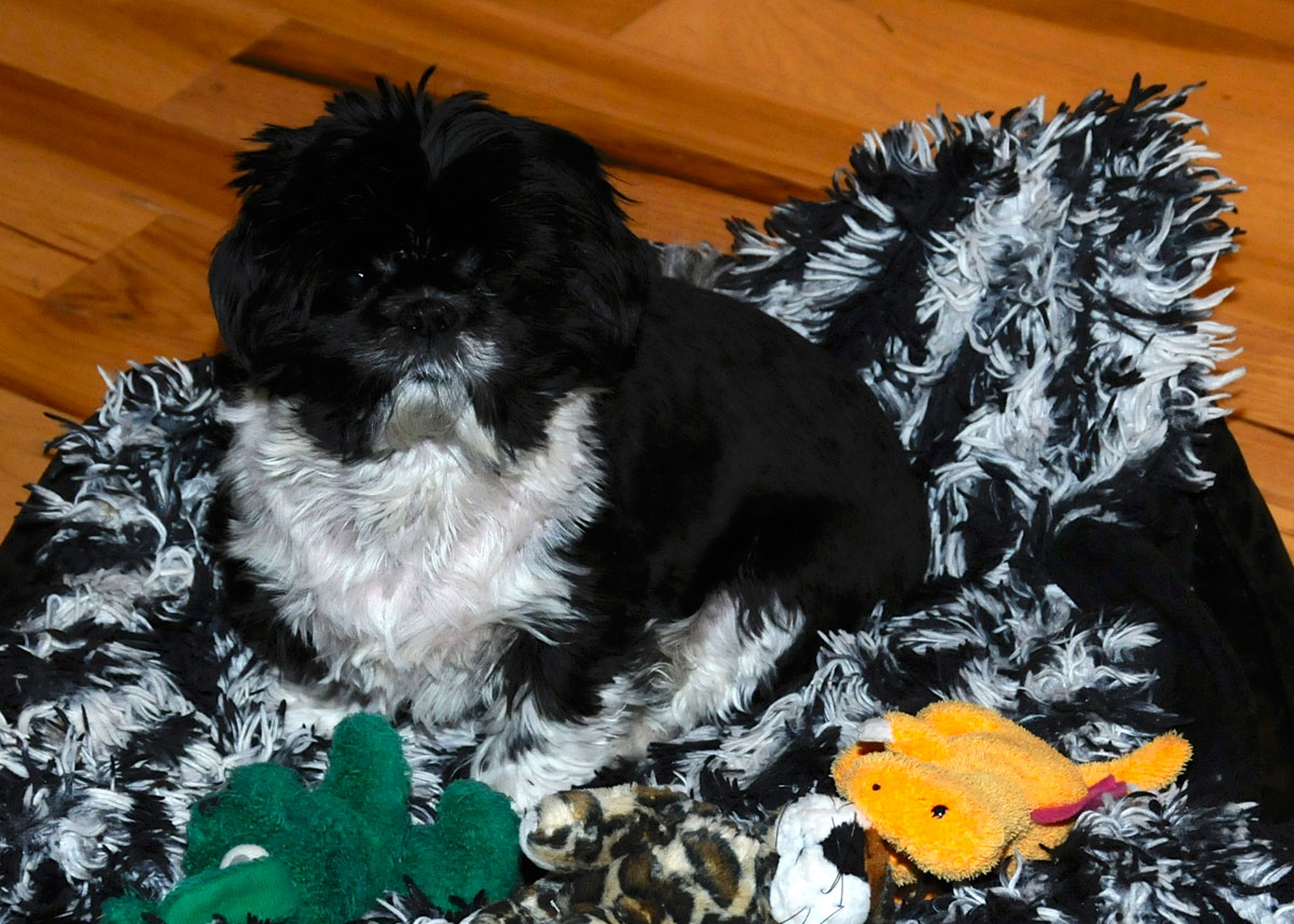 Nigel in the shared bed.