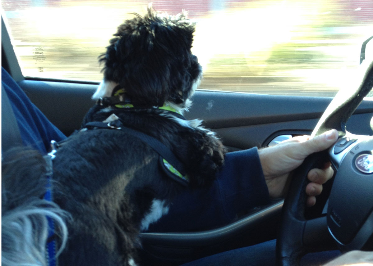 Nigel at the wheel.