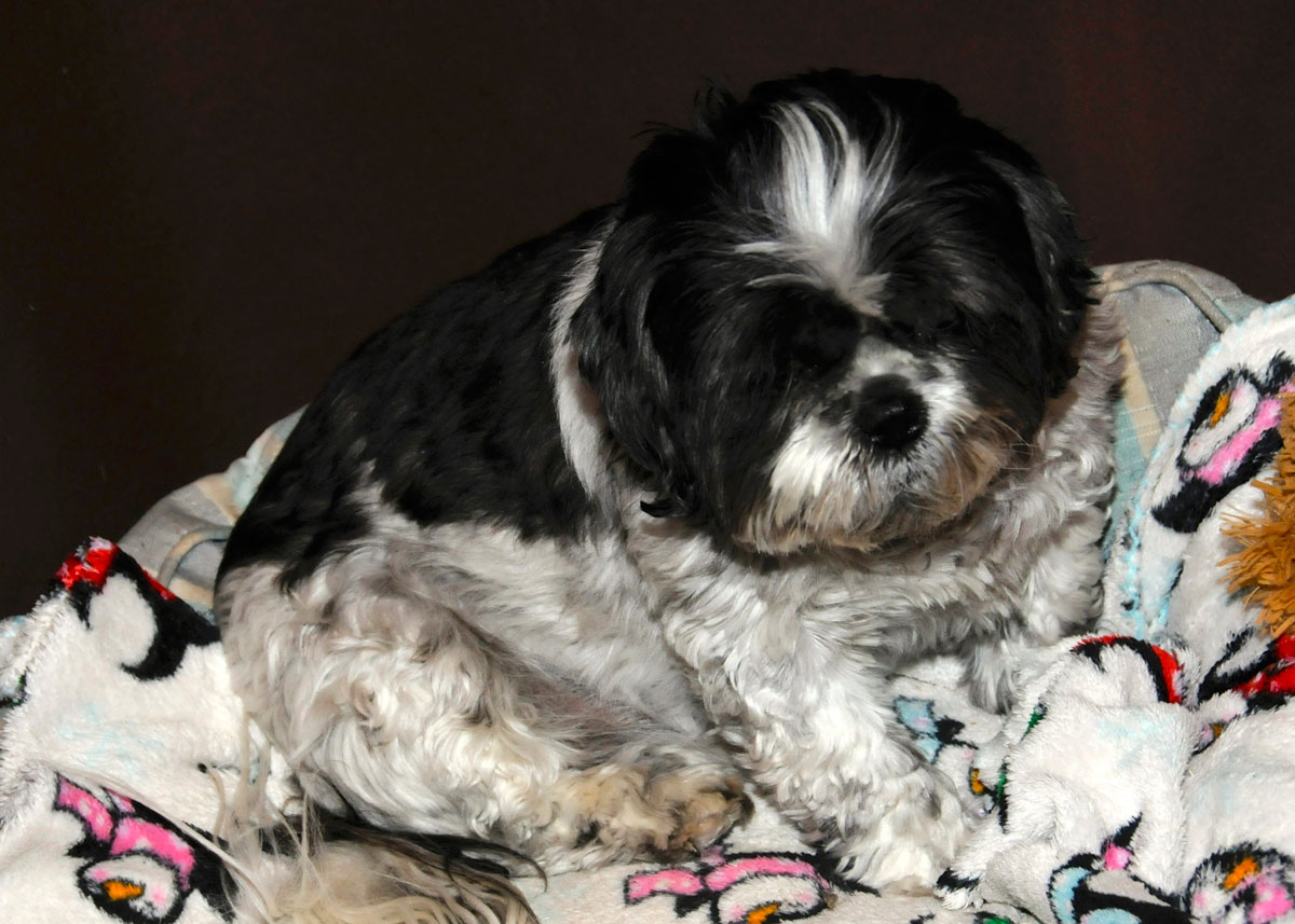 So this is Dottie