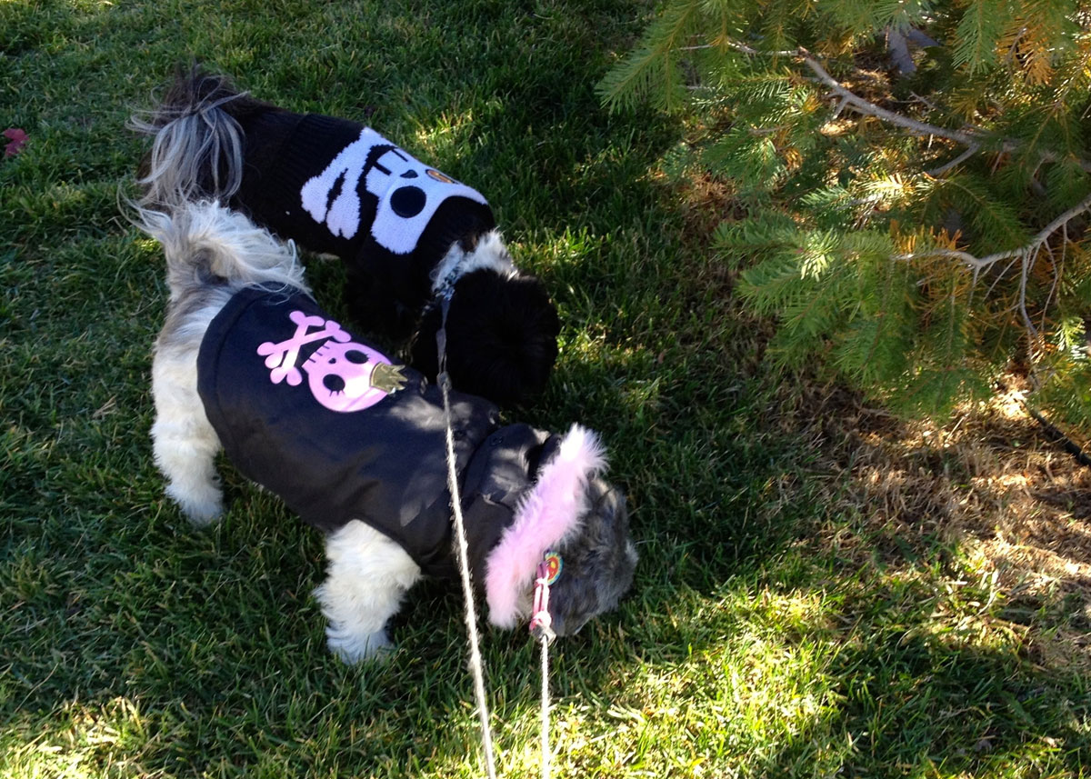 2013 Halloween walk
