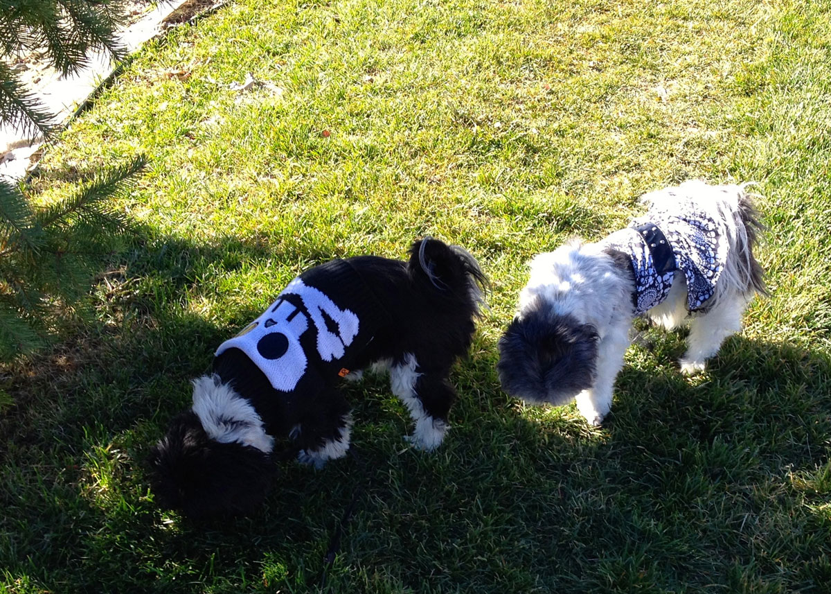 2013 Halloween walk