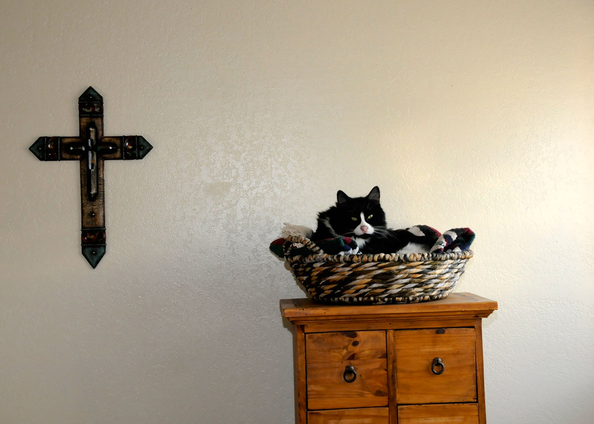 Who is Baby Moses?